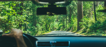 What Not to Do When on a Road Trip