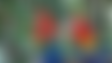 Conocé Costa Rica: Guía para visitar el Parque Nacional Carara