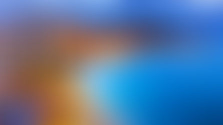 ¡Aloha Honolulu con Economy!