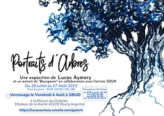 Portraits d'Arbres.png