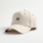 Joyful Expression Cap