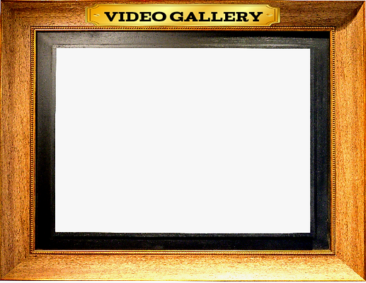 Video Gallery Frame (3).png