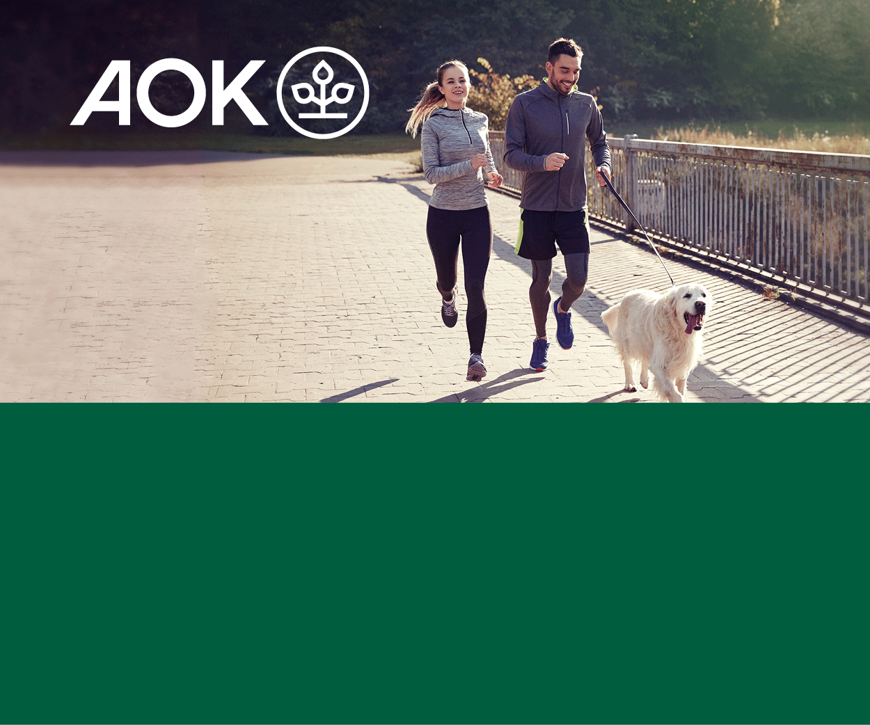 AOK_BY_Laufaktion-2023_Online_Banner_300x250px.gif