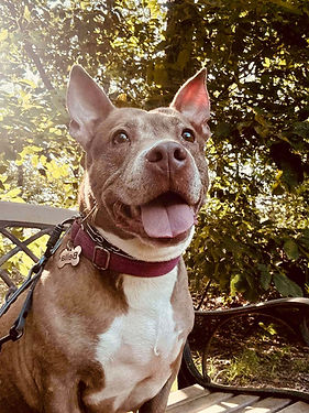 Bella