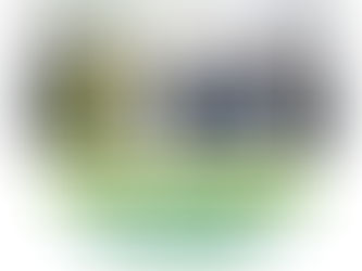 UM NOVO CAPÍTULO PARA O COMÉRCIO DE SEABRA! 🏛️ 