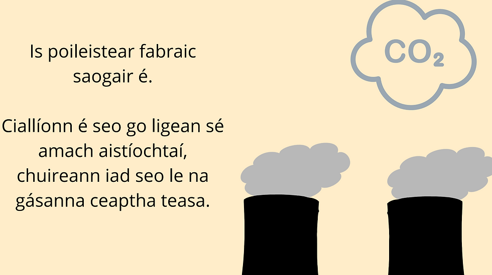 Buaiteoir Cur i láthair 12-14bl - Ella Ní Icí le cur i láthair ar Dhamáiste Ciasiúir Frith