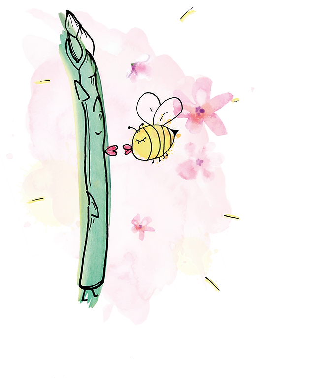20200317_Spargel_Biene_Illustration_webs