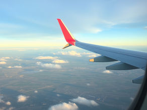 What is 'success' series with The Holistic Shala: Blog 1