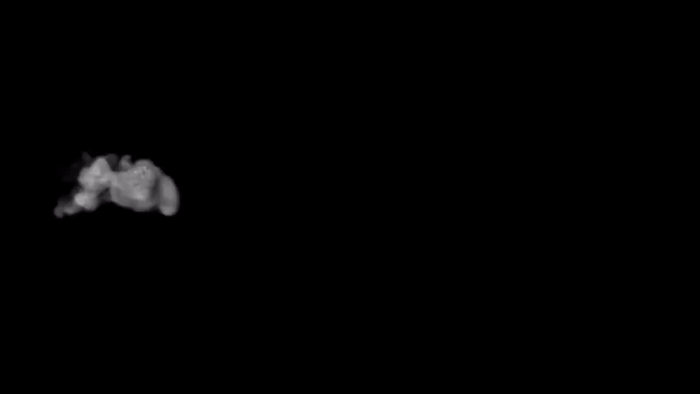 SilentBronzeGuineafowl-size_restricted.gif