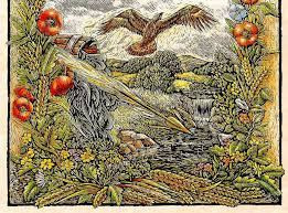Cornucopia