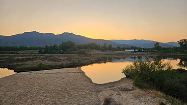 20250623_204214_edited.jpg