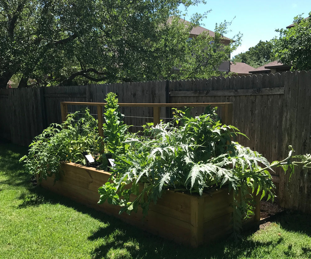 Five Tips for Beginners to Increase Success in the Kitchen Garden