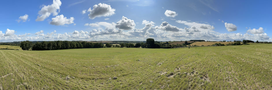 IMG_0520.JPEG