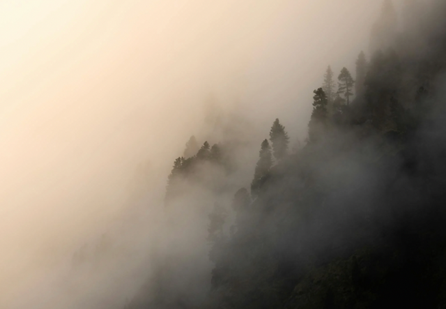 Screenshot 2025-01-24 at 8.04.44 AM.png