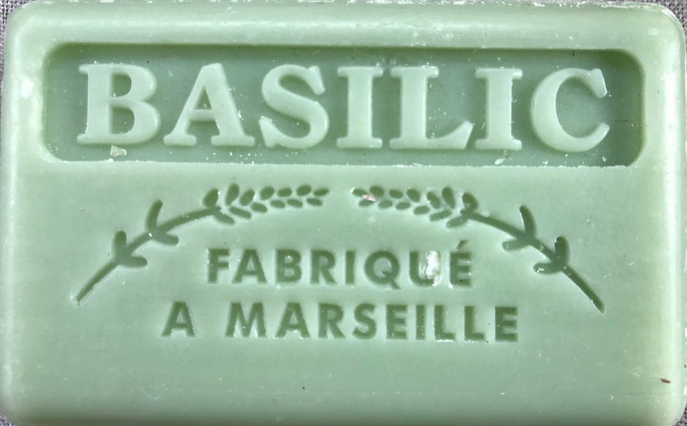 Basilic ( Basil) 125g