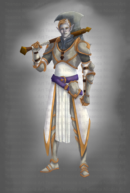 Dark Elf Fighter