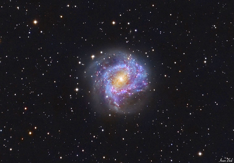 M83.jpg