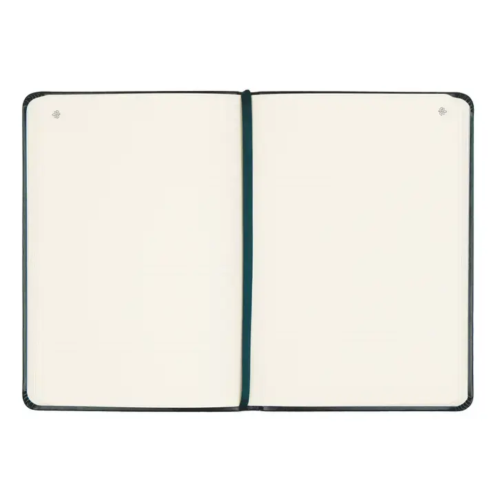 Thumbnail: Notebook: Hyde Park Theme