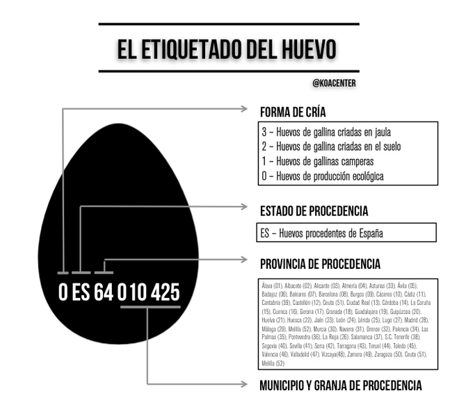 Industria del huevo y cómo leer su etiqueta