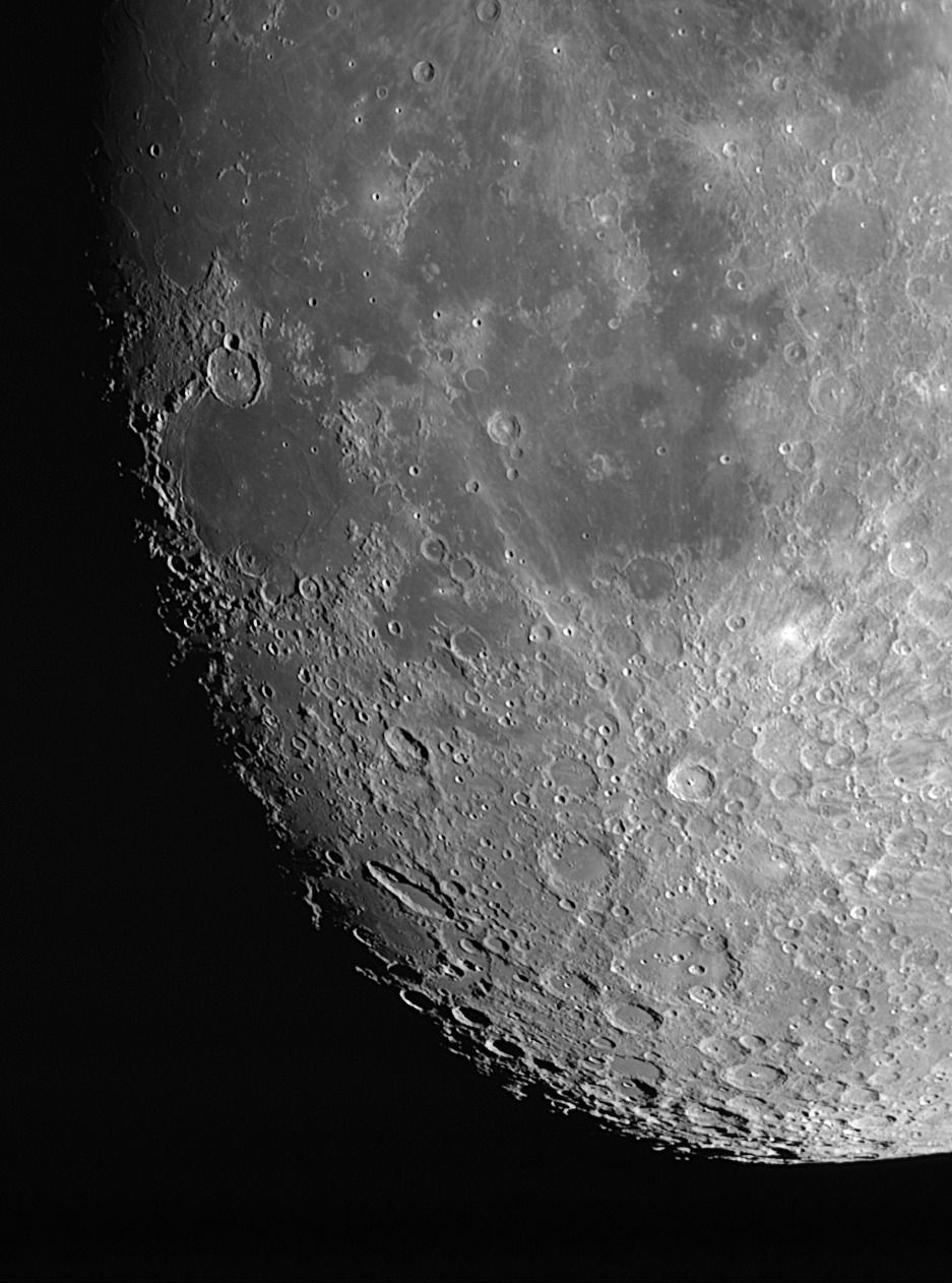 Mond Rolf
