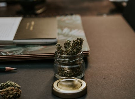 Medical and Recreational Cannabis Could be Linked to Dropping Opioid Prescription Rates