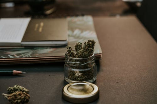 
Medical and Recreational Cannabis Could be Linked to Dropping Opioid Prescription Rates