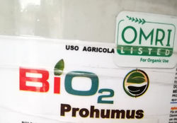 PROHUMUS