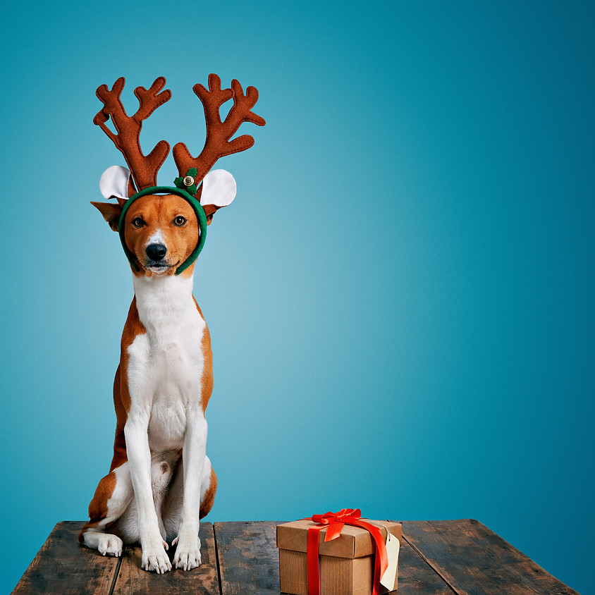 Little Red Dragons Kids Club - DIY REINDEER ANTLERS