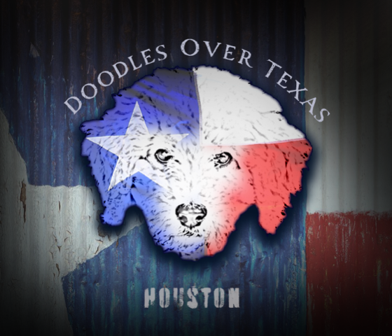 Doodles over TX logo_Proxy_Proxy_Proxy_1.png