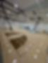IMG_7976.jpeg