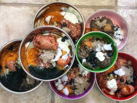 Let's talk raw feeding!