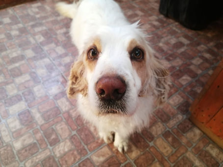 KEISY