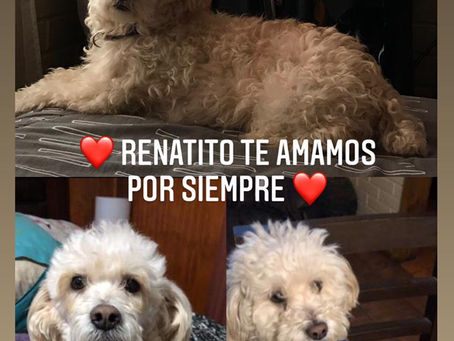 RENATO