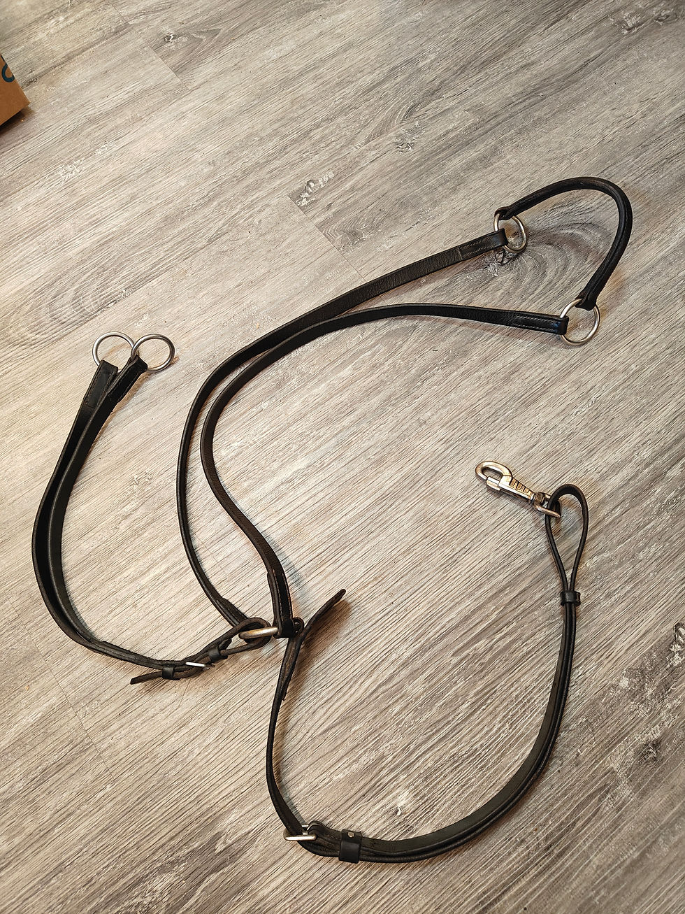 Musta rintaremmimartingaali, full