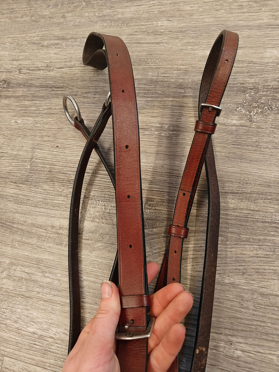 Pikkukuva: Ruskea martingaali, pony