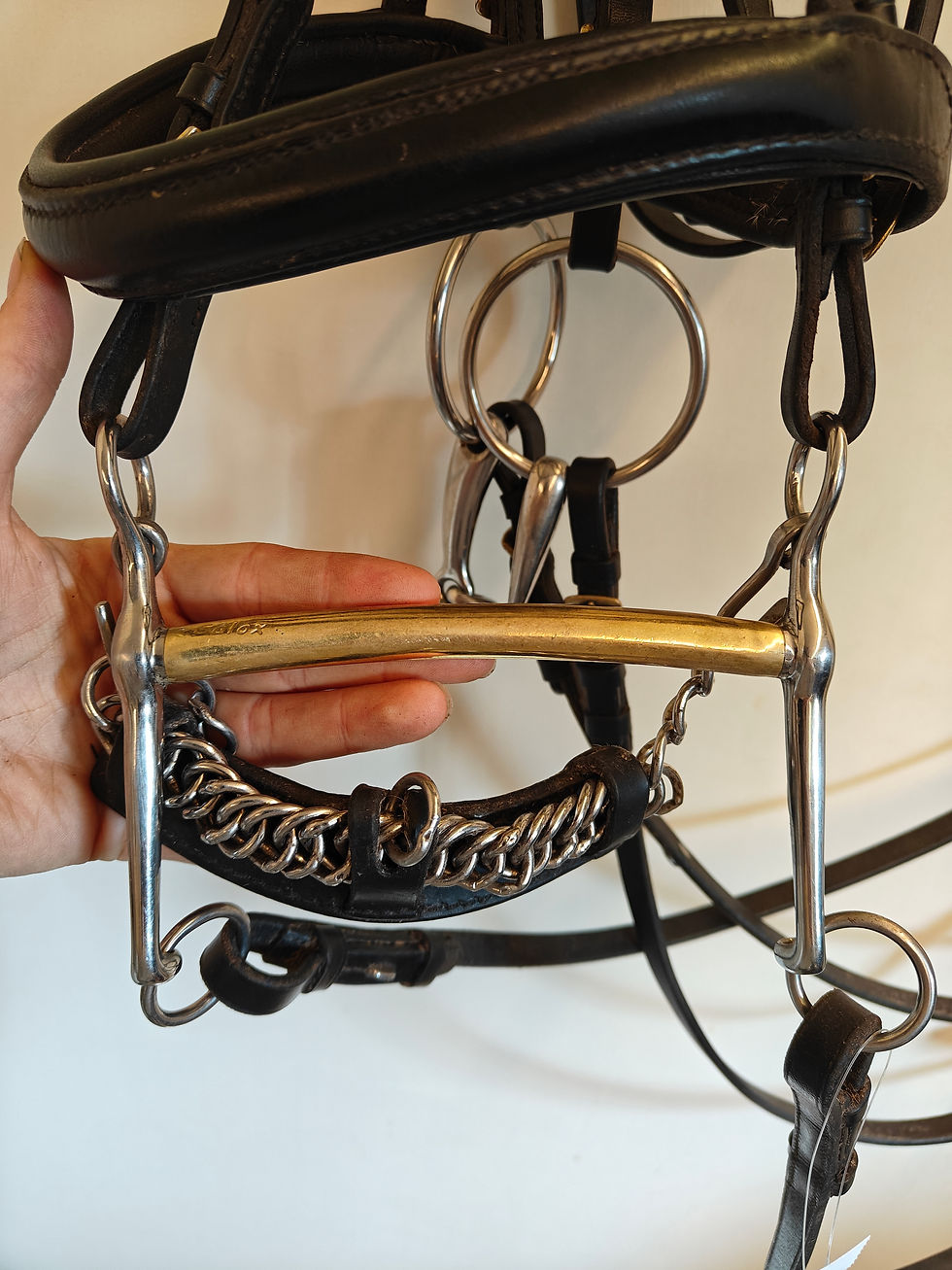 Pikkukuva: Neue Schule Weymouth Thoroughbred kankikuolain, 14cm