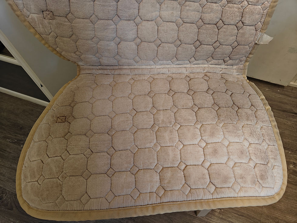 Pikkukuva: Equiline beige flättäri