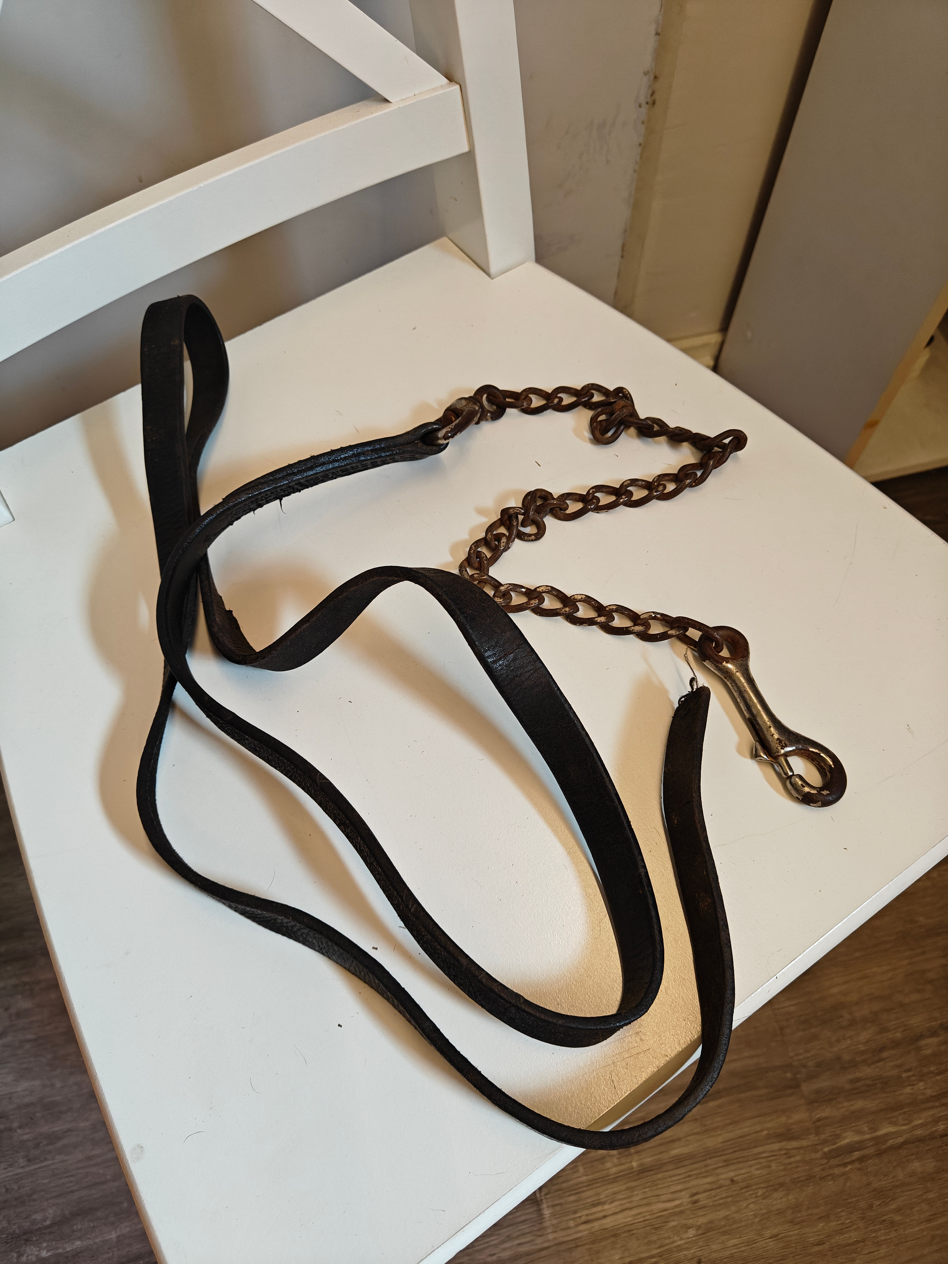 Musta ketjuriimunnaru, nahka