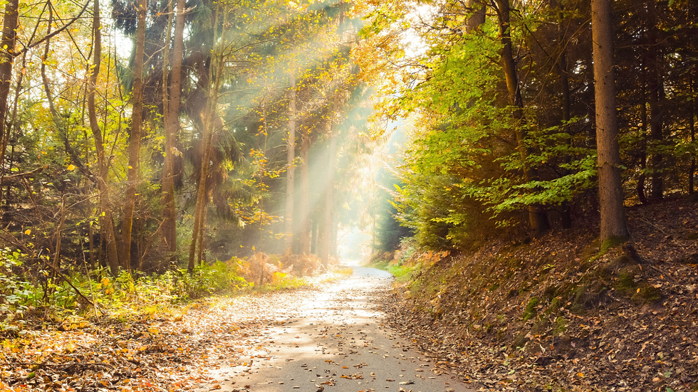 Compassionate Leadership Isn’t a Soft Skill. It’s a Strategic Imperative.