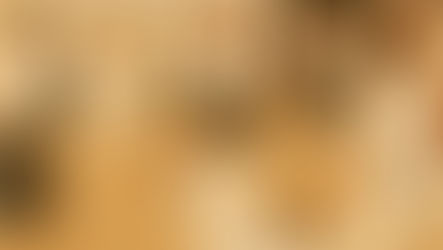 【(한, En) 9월 특별수련 공지 / Monthly Koshukai Notice】