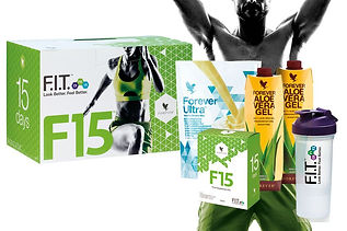 F15 Vanilla, Ф15 Ванилия