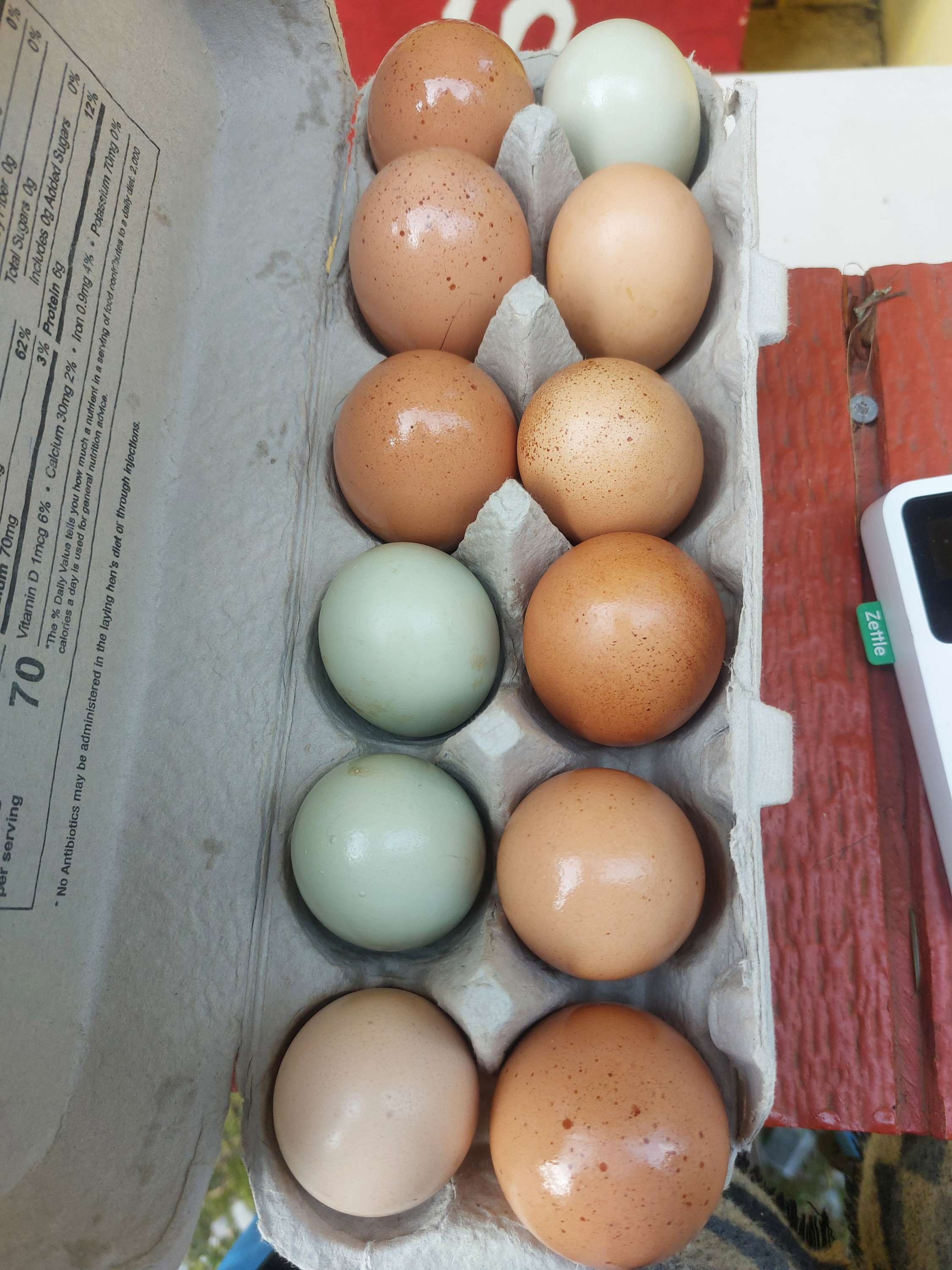 One Dozen Farm Fresh Eggs