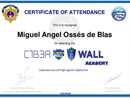 CERTIFICACION DIPLOMA C1B3RWALL ACADEMY 2020