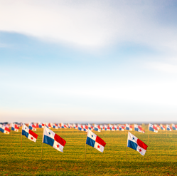 Banderas ideal para siembra de banderas en espacios públicos e instrucciones