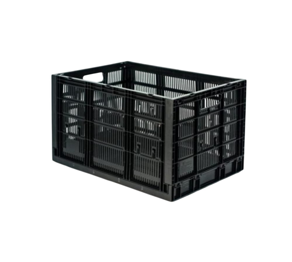 CAJA CPR 34