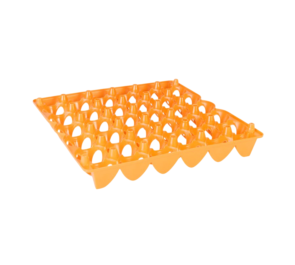 CHAROLA PARA 30 PZ DE HUEVO N