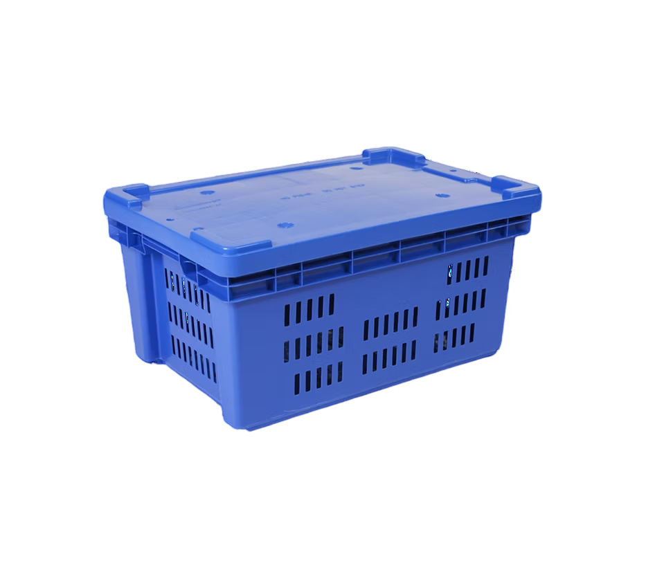 CAJA TOR CALADA CON TAPA