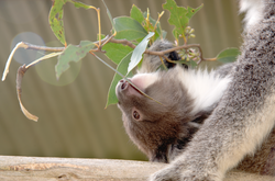 Screen Shot 2022-08-28 at 8.00.10 pm.png