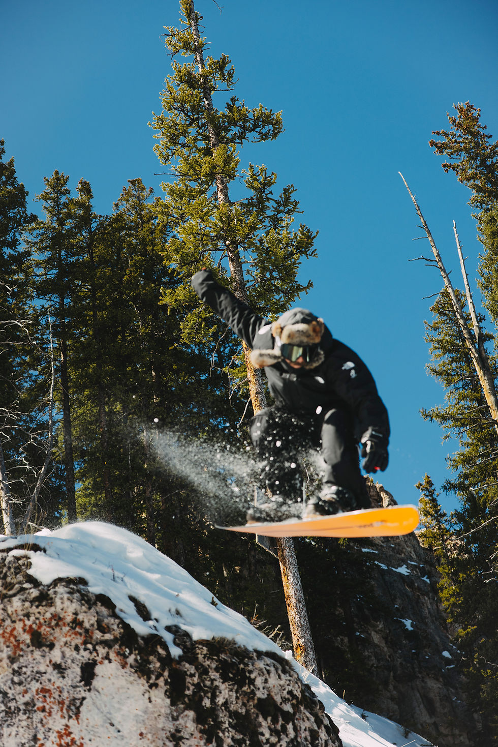 Snowboarder jumping through fresh powder among pine trees under clear blue sky