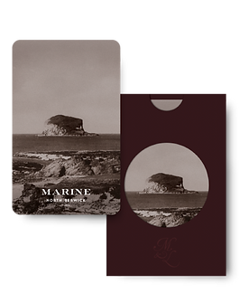 ml identity-02.png